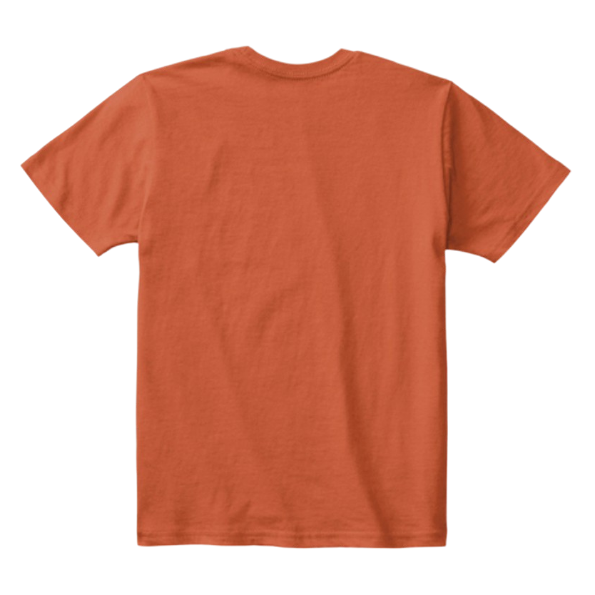 Kids Cotton Tee Classic T-Shirt Deep Orange Back